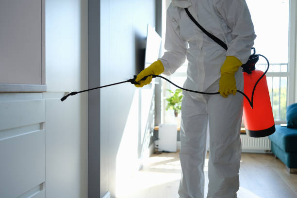 Best Mold Remediation for Schools in Hardeeville, SC